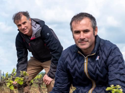 Domaine Bernatas